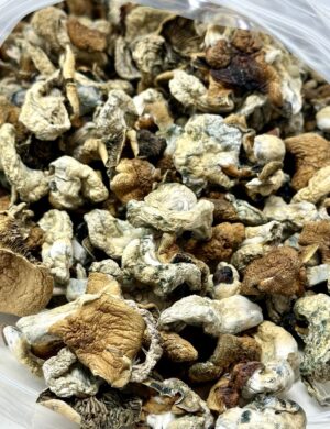 Code Blue Magic Mushrooms