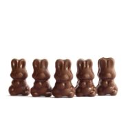 buy-alice-mushroom-psilocybin-canada-milk-chocolate-bunny-800x800