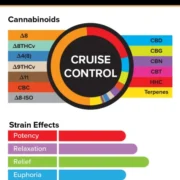3Chi_Pods_TrueStrains_Graph_CruiseControl_633x800-600x758-1 (1)
