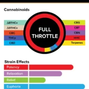 3Chi_Pods_TrueStrains_Graph_Full_Throttle_633x800v2 (1)