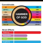 3Chi_Pods_TrueStrains_Graph_Hammer_633x800 (1)