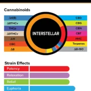 3Chi_Pods_TrueStrains_Graph_Interstellar_633x800v2 (1)