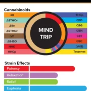 3Chi_Pods_TrueStrains_Graph_MindTrip_633x800v3-600x758-1 (1)