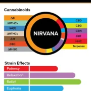 3Chi_Pods_TrueStrains_Graph_Nirvana_633x800v2-600x758-1 (1)