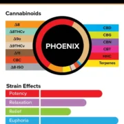3Chi_Pods_TrueStrains_Graph_Phoenix_633x800v2-600x758-1 (1)