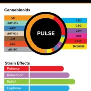 3Chi_Pods_TrueStrains_Graph_Pulse_633x800v2-600x758-1