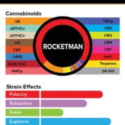 3Chi_Pods_TrueStrains_Graph_Rocketman_633x800v2