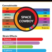 3Chi_Pods_TrueStrains_Graph_SpaceCowboy_633x800v3