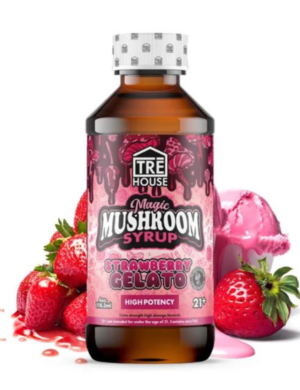 TRE House | Magic Mushroom Syrup – Strawberry Gelato – 4oz