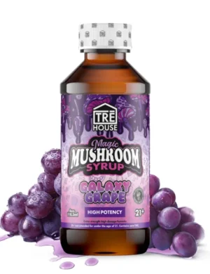 TRE House | Magic Mushroom Syrup | Galaxy Grape – 4oz